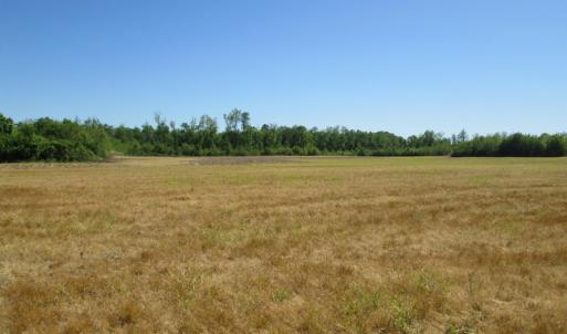 Photo #22 of SOLD property in Off Corinth Chapel Road , Suffolk , VA 47.0 acres