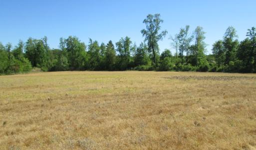 Photo #25 of SOLD property in Off Corinth Chapel Road , Suffolk , VA 47.0 acres