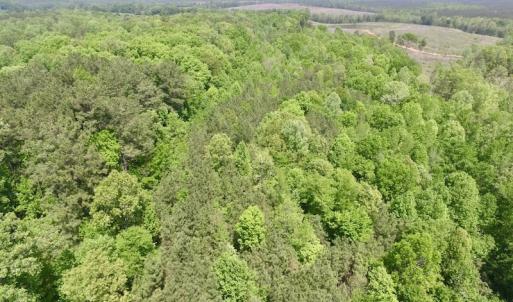 Photo #11 of SOLD property in Off Christanna Hwy, Lawrenceville, VA 13.2 acres