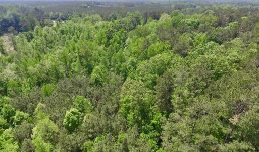 Photo #12 of SOLD property in Off Christanna Hwy, Lawrenceville, VA 13.2 acres