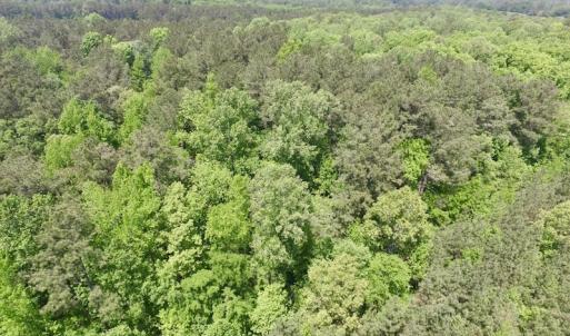 Photo #13 of SOLD property in Off Christanna Hwy, Lawrenceville, VA 13.2 acres
