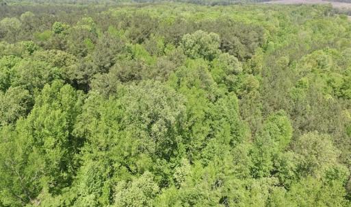 Photo #14 of SOLD property in Off Christanna Hwy, Lawrenceville, VA 13.2 acres