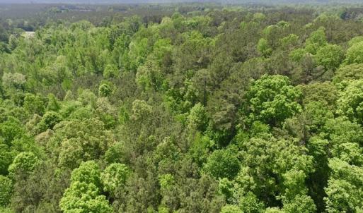 Photo #16 of SOLD property in Off Christanna Hwy, Lawrenceville, VA 13.2 acres