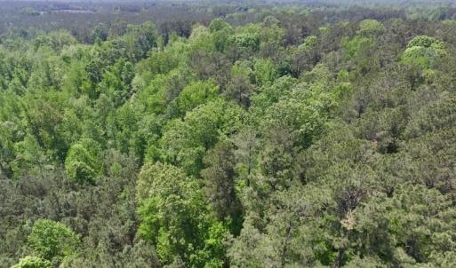 Photo #18 of SOLD property in Off Christanna Hwy, Lawrenceville, VA 13.2 acres
