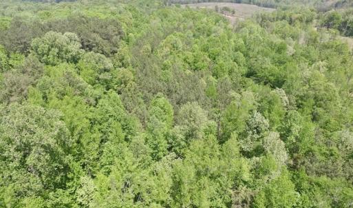 Photo #19 of SOLD property in Off Christanna Hwy, Lawrenceville, VA 13.2 acres