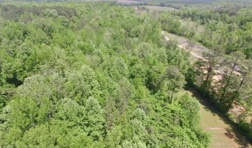 Photo #20 of SOLD property in Off Christanna Hwy, Lawrenceville, VA 13.2 acres