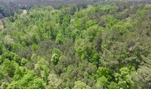 Photo #3 of SOLD property in Off Christanna Hwy, Lawrenceville, VA 13.2 acres