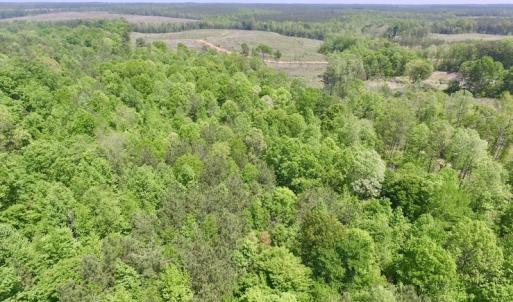 Photo #21 of SOLD property in Off Christanna Hwy, Lawrenceville, VA 13.2 acres