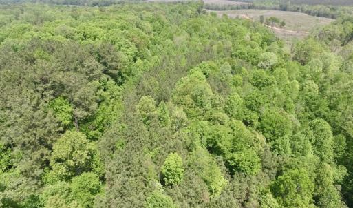 Photo #22 of SOLD property in Off Christanna Hwy, Lawrenceville, VA 13.2 acres
