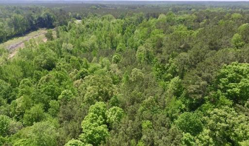 Photo #23 of SOLD property in Off Christanna Hwy, Lawrenceville, VA 13.2 acres