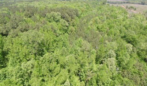 Photo #24 of SOLD property in Off Christanna Hwy, Lawrenceville, VA 13.2 acres