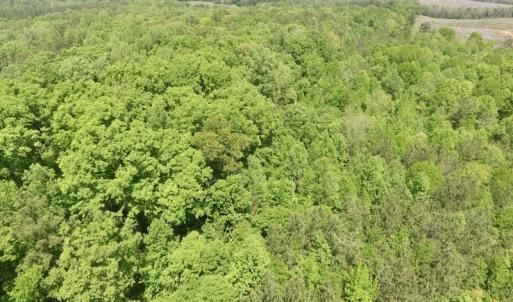 Photo #25 of SOLD property in Off Christanna Hwy, Lawrenceville, VA 13.2 acres