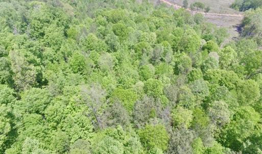 Photo #26 of SOLD property in Off Christanna Hwy, Lawrenceville, VA 13.2 acres