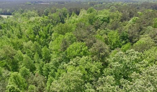Photo #27 of SOLD property in Off Christanna Hwy, Lawrenceville, VA 13.2 acres