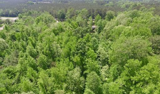 Photo #28 of SOLD property in Off Christanna Hwy, Lawrenceville, VA 13.2 acres