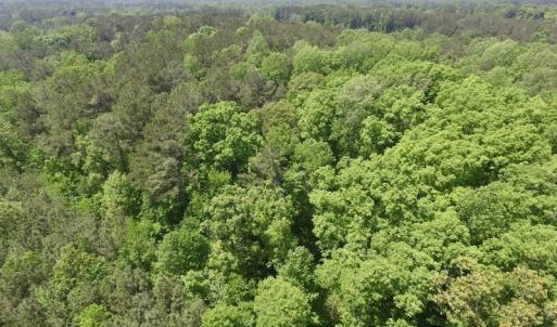 Photo #29 of SOLD property in Off Christanna Hwy, Lawrenceville, VA 13.2 acres