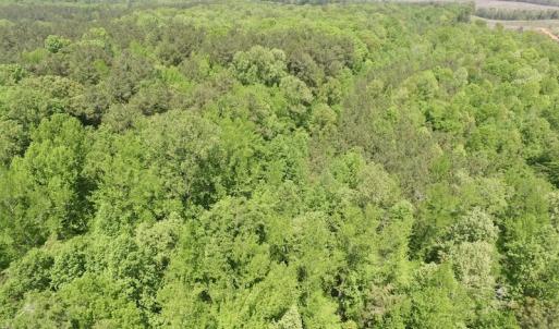 Photo #5 of SOLD property in Off Christanna Hwy, Lawrenceville, VA 13.2 acres