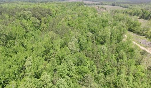 Photo #6 of SOLD property in Off Christanna Hwy, Lawrenceville, VA 13.2 acres