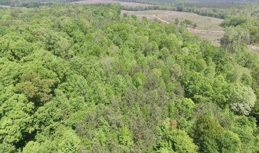 Photo #8 of SOLD property in Off Christanna Hwy, Lawrenceville, VA 13.2 acres