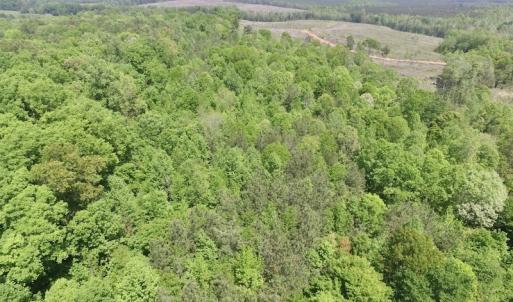 Photo #8 of SOLD property in Off Christanna Hwy, Lawrenceville, VA 13.2 acres