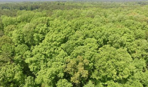 Photo #9 of SOLD property in Off Christanna Hwy, Lawrenceville, VA 13.2 acres