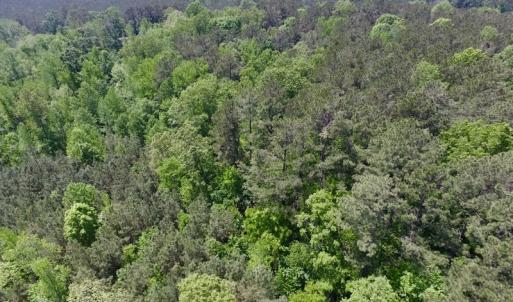 Photo #10 of SOLD property in Off Christanna Hwy, Lawrenceville, VA 13.2 acres