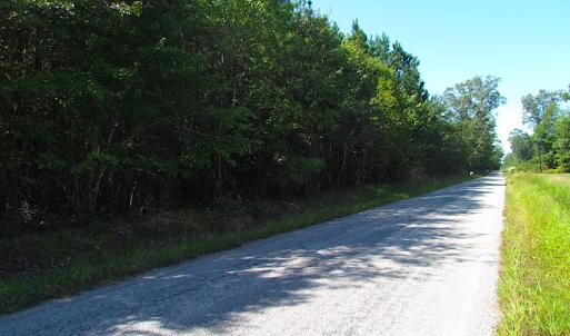 Photo #3 of SOLD property in Lot 1 Warrique Rd, Ivor, VA 3.0 acres