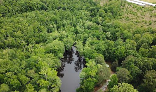 Photo #5 of SOLD property in Off Sunbeam Road, Franklin, VA 52.0 acres
