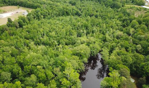 Photo #6 of SOLD property in Off Sunbeam Road, Franklin, VA 52.0 acres