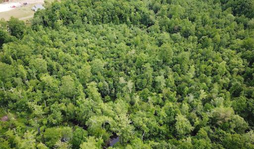 Photo #7 of SOLD property in Off Sunbeam Road, Franklin, VA 52.0 acres