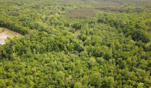 Photo #9 of SOLD property in Off Sunbeam Road, Franklin, VA 52.0 acres