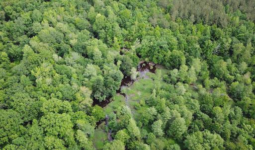 Photo #8 of SOLD property in Off Sunbeam Road, Franklin, VA 52.0 acres