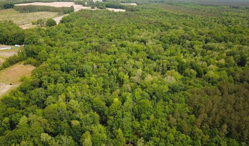 Photo #10 of SOLD property in Off Sunbeam Road, Franklin, VA 52.0 acres