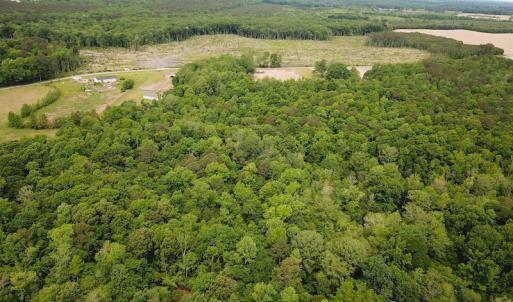 Photo #12 of SOLD property in Off Sunbeam Road, Franklin, VA 52.0 acres