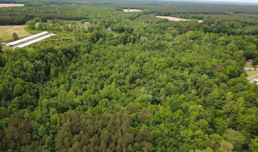 Photo #13 of SOLD property in Off Sunbeam Road, Franklin, VA 52.0 acres