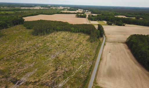 Photo #15 of SOLD property in Off Sunbeam Road, Franklin, VA 52.0 acres