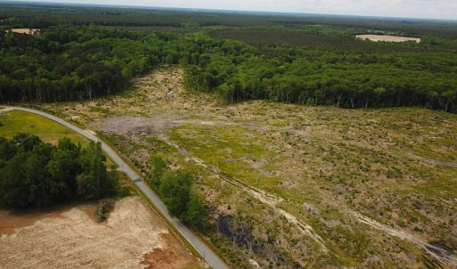 Photo #16 of SOLD property in Off Sunbeam Road, Franklin, VA 52.0 acres