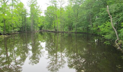 Photo #20 of SOLD property in Off Sunbeam Road, Franklin, VA 52.0 acres
