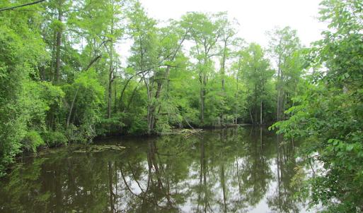 Photo #21 of SOLD property in Off Sunbeam Road, Franklin, VA 52.0 acres