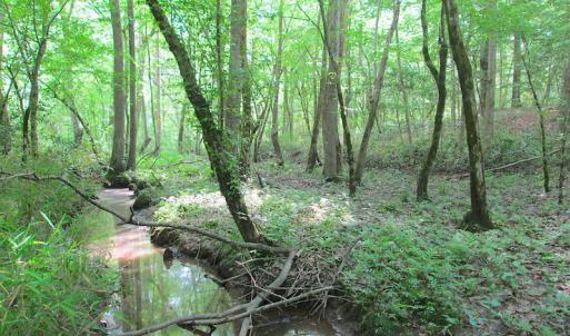 Photo #26 of SOLD property in Off Sunbeam Road, Franklin, VA 52.0 acres