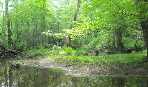 Photo #28 of SOLD property in Off Sunbeam Road, Franklin, VA 52.0 acres