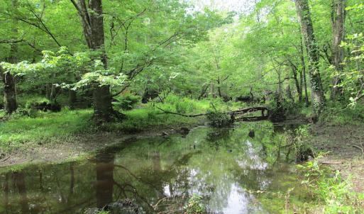 Photo #29 of SOLD property in Off Sunbeam Road, Franklin, VA 52.0 acres