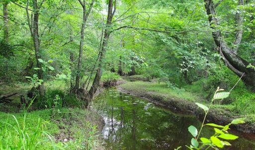 Photo #32 of SOLD property in Off Sunbeam Road, Franklin, VA 52.0 acres