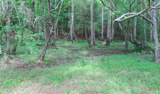 Photo #33 of SOLD property in Off Sunbeam Road, Franklin, VA 52.0 acres