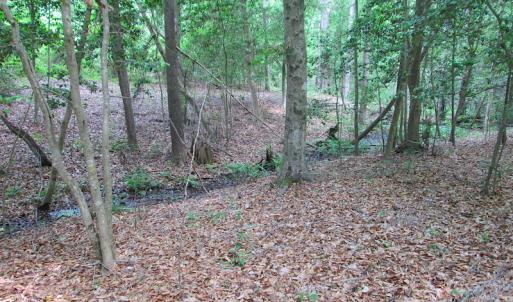 Photo #37 of SOLD property in Off Sunbeam Road, Franklin, VA 52.0 acres