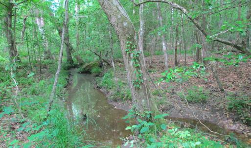 Photo #38 of SOLD property in Off Sunbeam Road, Franklin, VA 52.0 acres