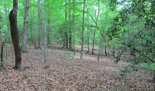 Photo #40 of SOLD property in Off Sunbeam Road, Franklin, VA 52.0 acres
