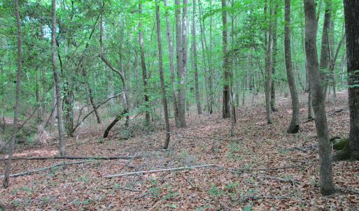 Photo #46 of SOLD property in Off Sunbeam Road, Franklin, VA 52.0 acres