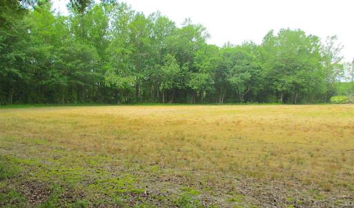 Photo #49 of SOLD property in Off Sunbeam Road, Franklin, VA 52.0 acres