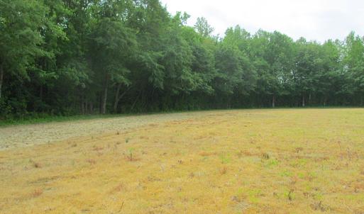 Photo #50 of SOLD property in Off Sunbeam Road, Franklin, VA 52.0 acres